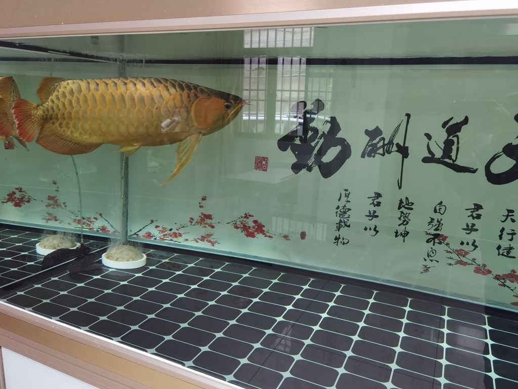 ，ai技術為醫療行業帶來了前所未有的機遇和挑戰