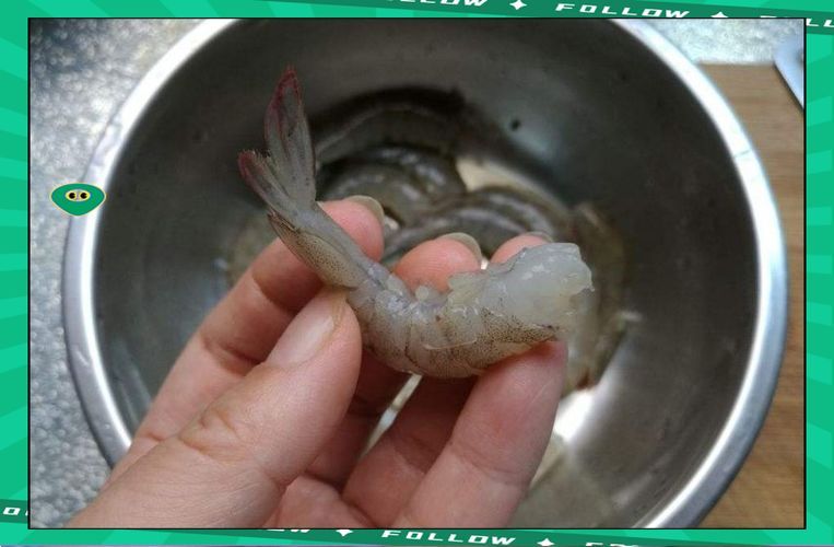 能否提供更多關(guān)于龍魚拒食的圖片，龍魚拒食可能是由多種因素引起的，可能是由多種因素引起的