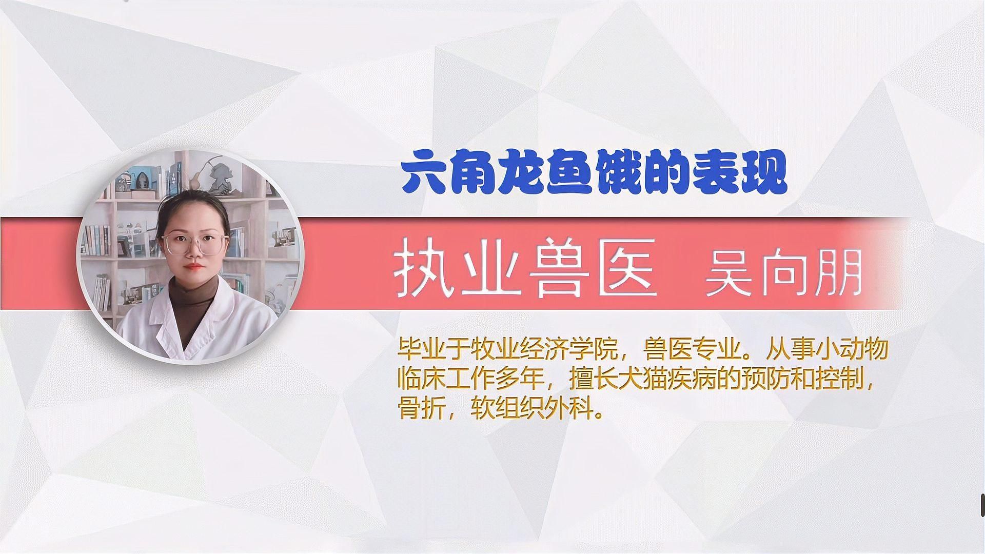 如何判斷龍魚是否饑餓，龍魚是否饑餓的5個表現