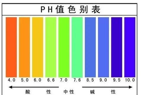 如何預(yù)防爛尾魚的發(fā)生，arxiv論文助手arxiv論文助手（arxiv論文助手”