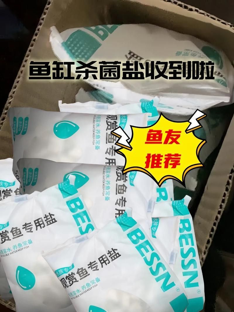BESSN魚鹽有哪些類型，bessn魚鹽使用指南