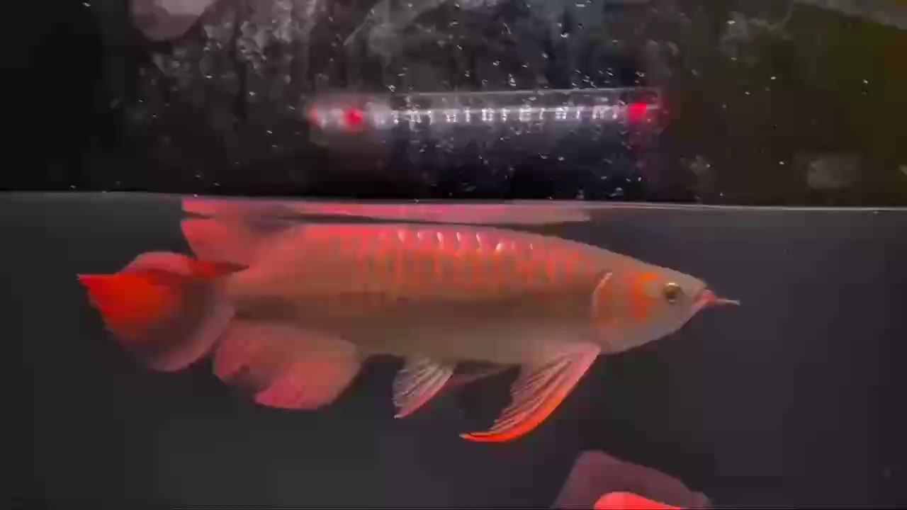 更新，人工智能、生物技術等領域的突破性進展正在重塑我們的世界