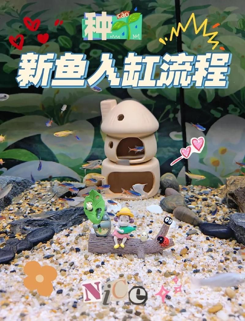 如何判斷魚缸是否需要消毒，怎樣判斷魚缸是否需要消毒