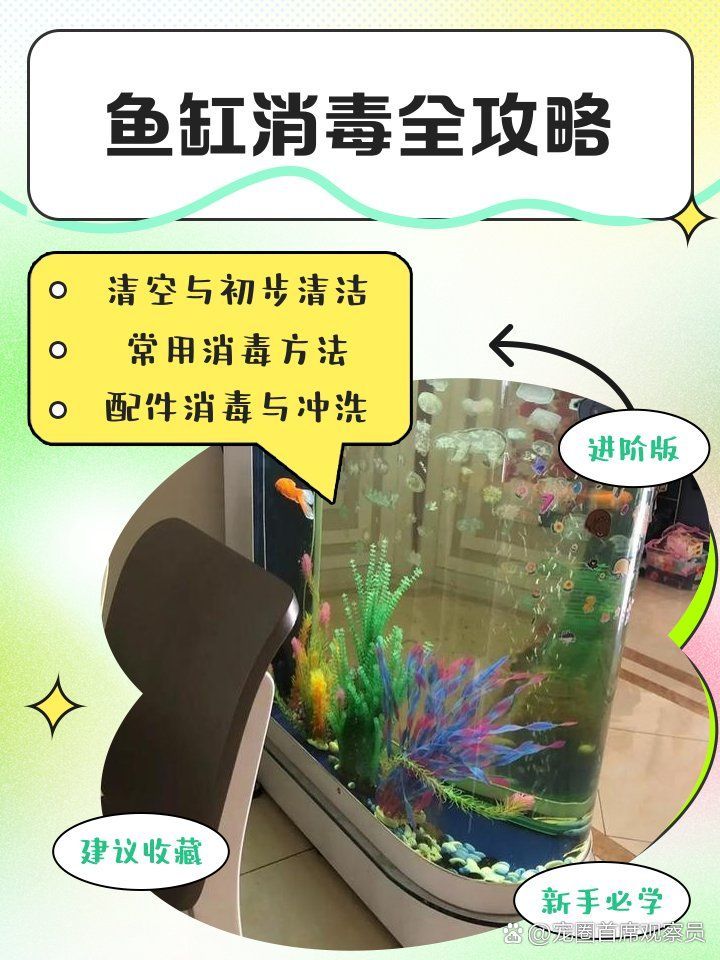 如何判斷魚缸是否需要消毒，怎樣判斷魚缸是否需要消毒