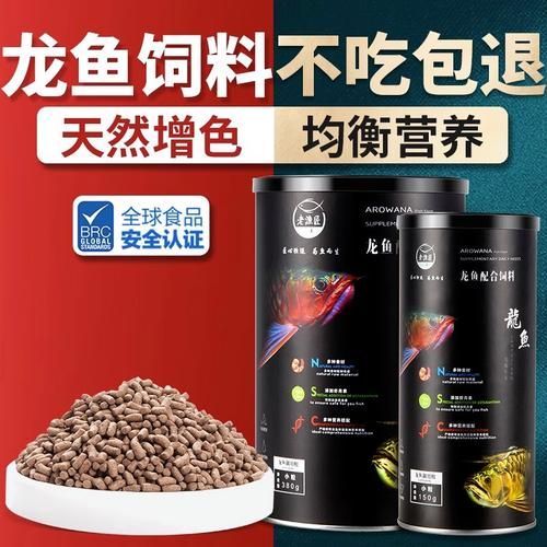 過背金龍魚有哪些飼養(yǎng)要點(diǎn)？，過背金龍魚的飼養(yǎng)要點(diǎn)