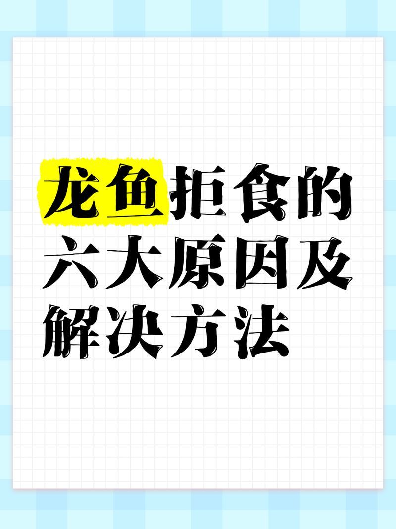 龍魚一個月不吃會有什么癥狀？，龍魚一個月不吃不喝40天