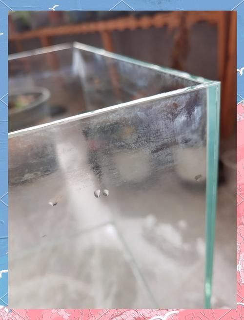 如何判斷魚缸是否需要更換？，如何判斷魚缸是否需要更換
