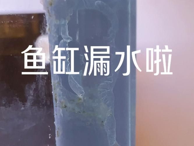 如何判斷魚缸是否需要更換？，如何判斷魚缸是否需要更換