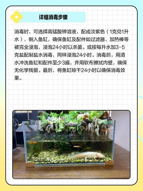 如何預防龍魚外寄生蟲，arxiv論文助手arxiv論文助手arxiv論文助手