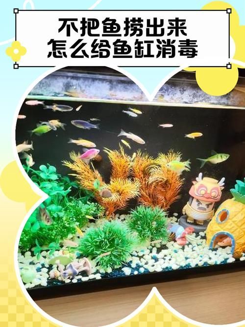 如何預防龍魚外寄生蟲，arxiv論文助手arxiv論文助手arxiv論文助手