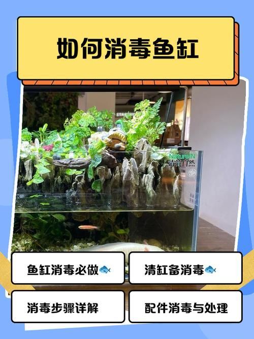 如何預防龍魚外寄生蟲，arxiv論文助手arxiv論文助手arxiv論文助手