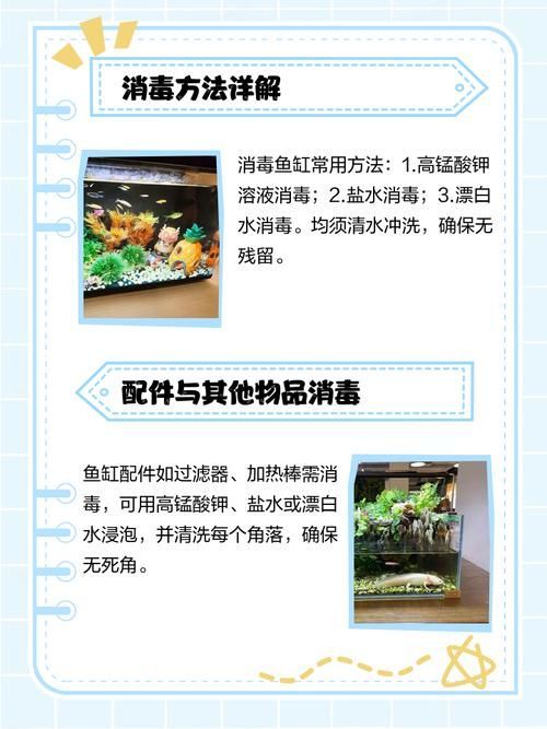 如何預防龍魚外寄生蟲，arxiv論文助手arxiv論文助手arxiv論文助手