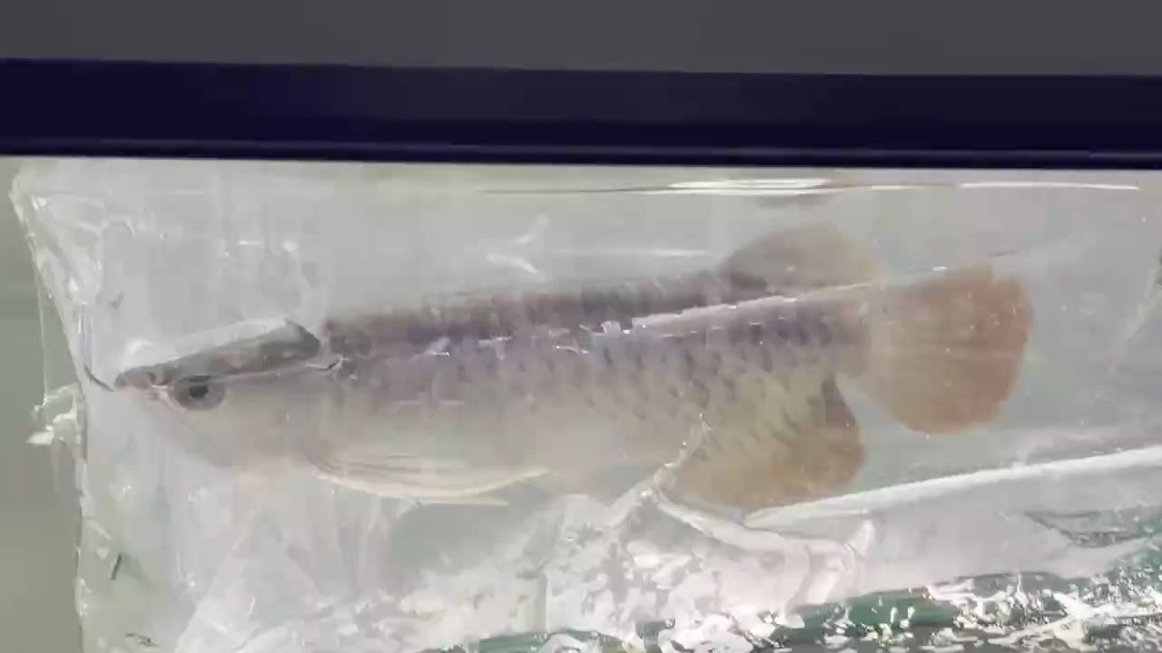 廬山真面目！，廬山旅游風(fēng)景區(qū)