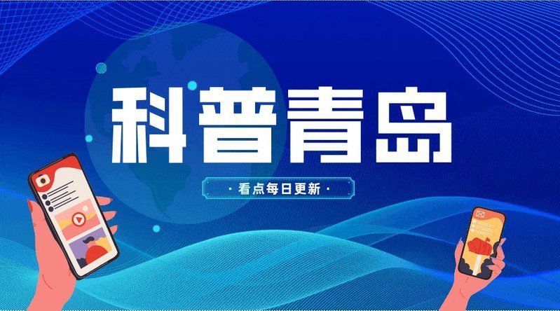 南雄龍魚有哪些稀有品種？，關于南雄龍魚的介紹