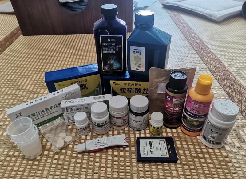 有哪些藥物可以幫助金魚恢復，金魚生病時，合理用藥是挽救生命的關鍵,針對常見病癥