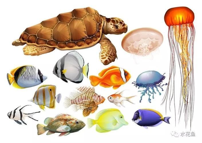 四角龍魚有哪些獨特特征，arxiv論文助手arxiv論文arxiv論文助手arxiv論文