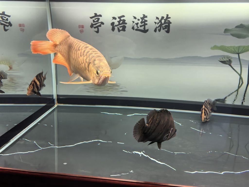 堅持愛好，堅持愛好對個人和社會