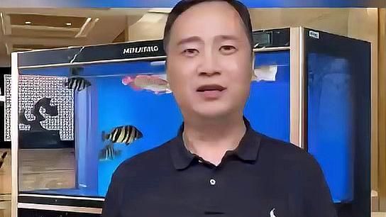 魚眼睛有白膜怎么治用，養魚筆記第2季102集:觀賞魚眼睛白蒙和凸眼