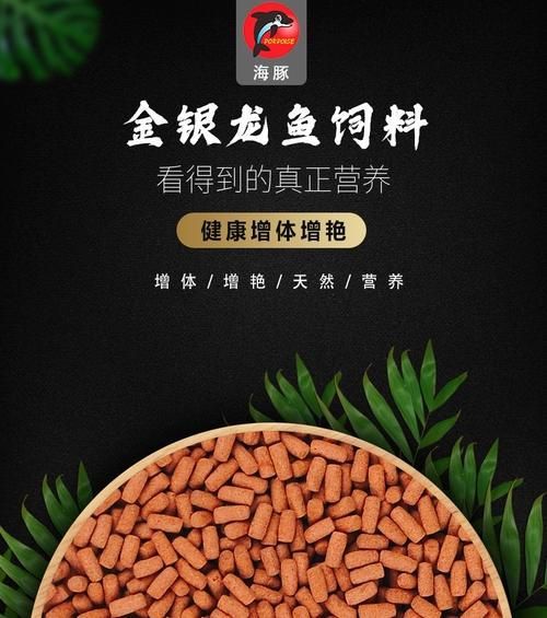 過背金龍日常飲食指南，過背金龍養殖技術