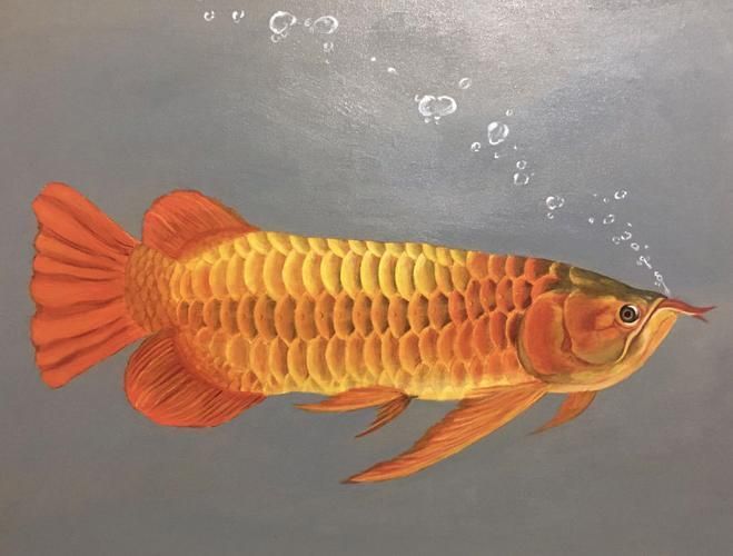 有哪些著名的龍魚浮頭藝術作品，著名的龍魚浮頭藝術作品