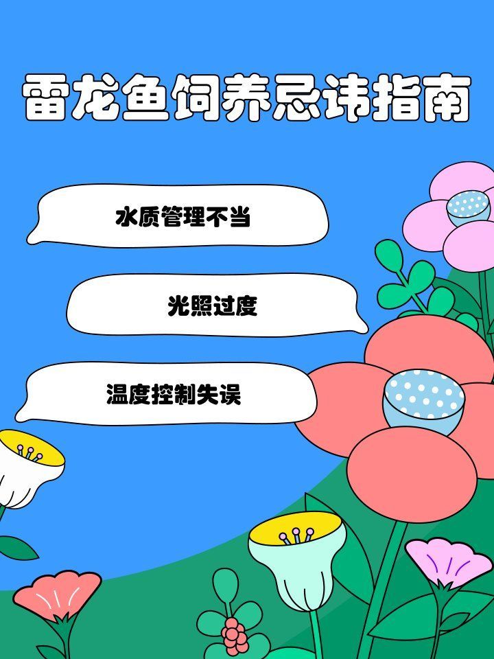 雷龍魚飼養需要哪些注意事項，雷龍魚的飼養方法