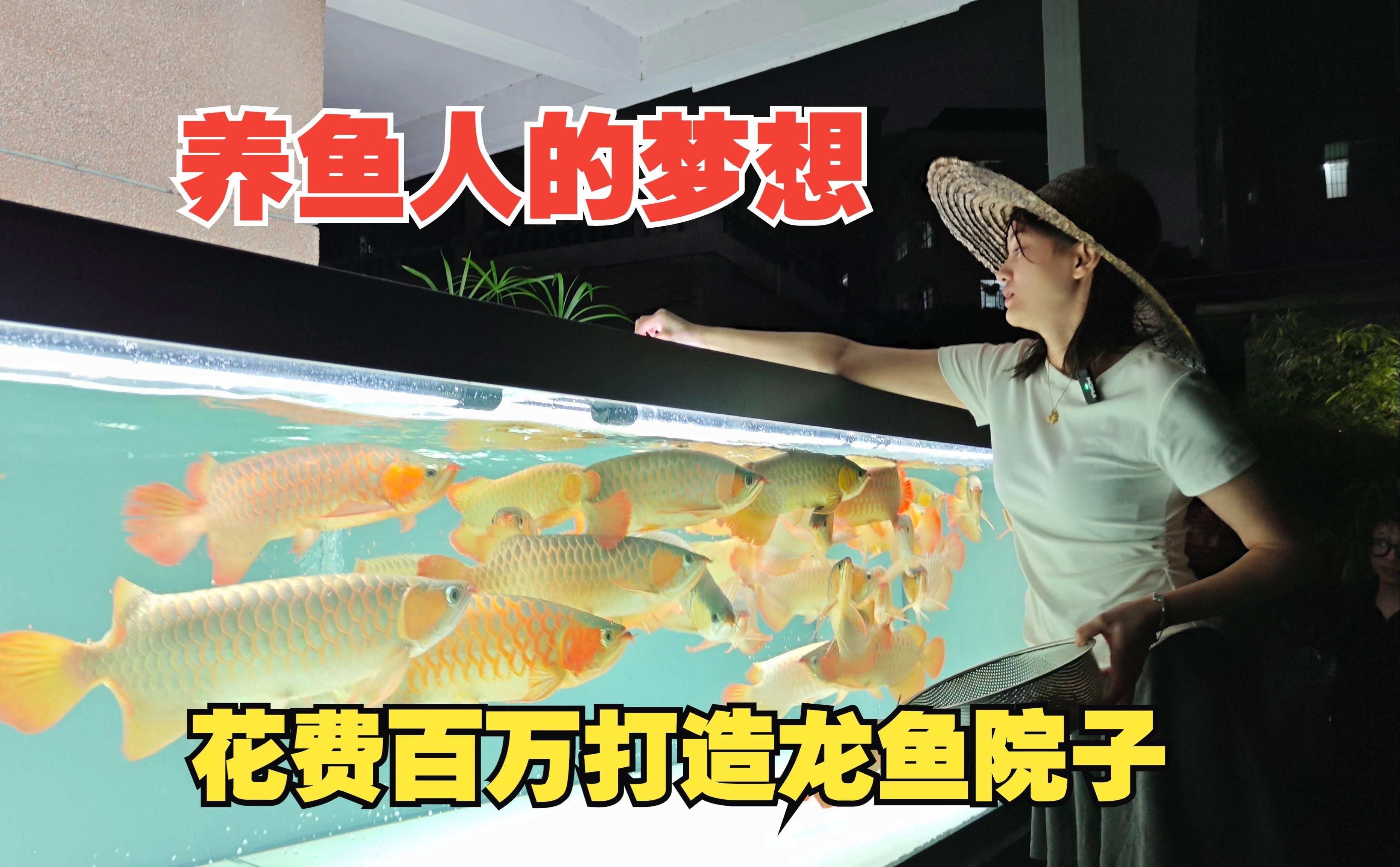 能否提供降低龍魚飼養成本的詳細步驟，龍魚飼養成本包括：選擇適合自己經濟條件的龍魚品種