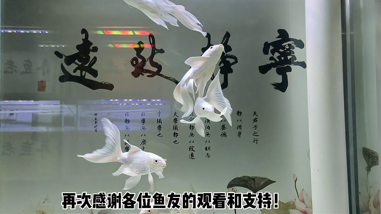 如何判斷合缸后是否交叉感染，合缸后交叉感染的判斷是否發生交叉感染的一般方法