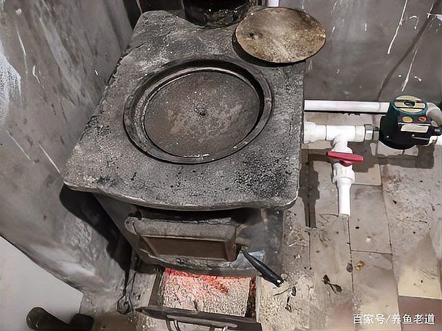 如何降低金龍魚養殖成本，西安金龍魚養殖成本調用戶要求1000字內容和配圖