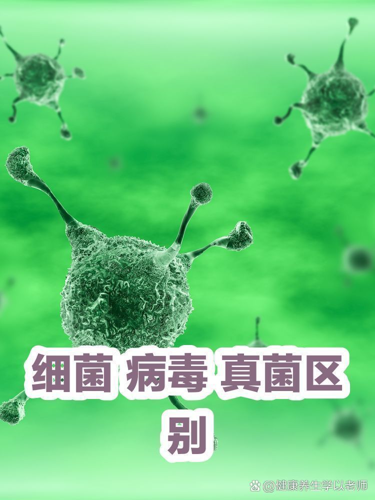 真菌和細(xì)菌感染的癥狀有何不同，——真菌感染和細(xì)菌感染的區(qū)別