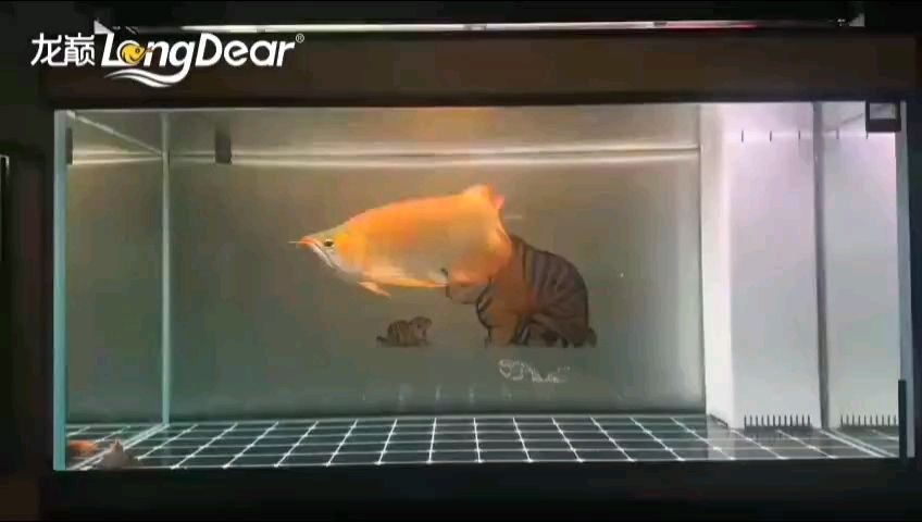 轉發979，轉發979小伙不帥