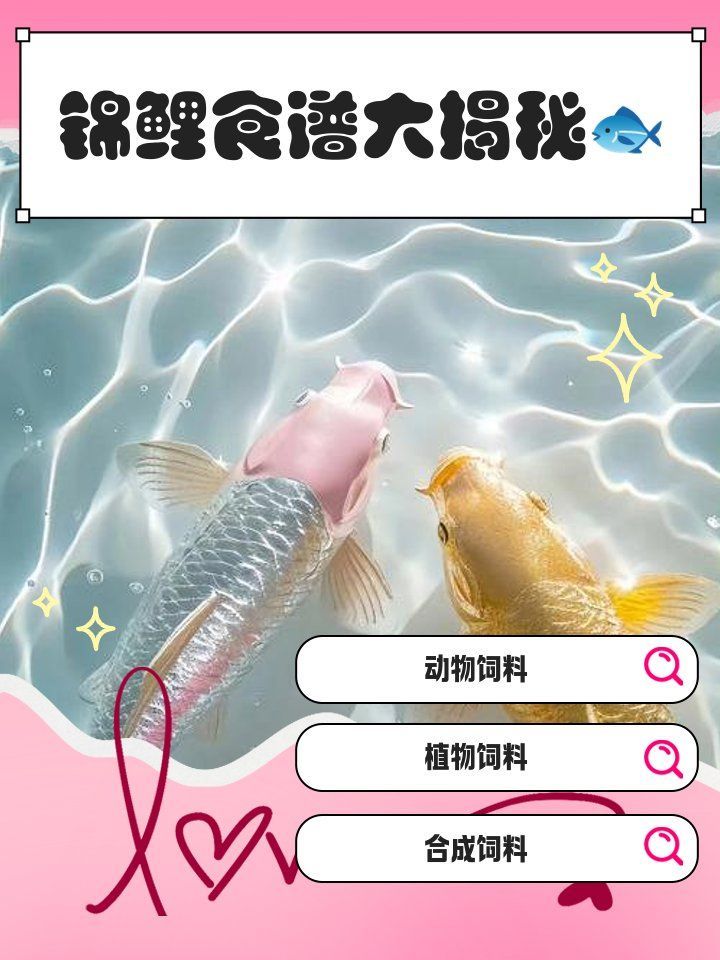 能否提供龍魚和錦鯉的飼養食譜，龍魚和錦鯉的喂養方式