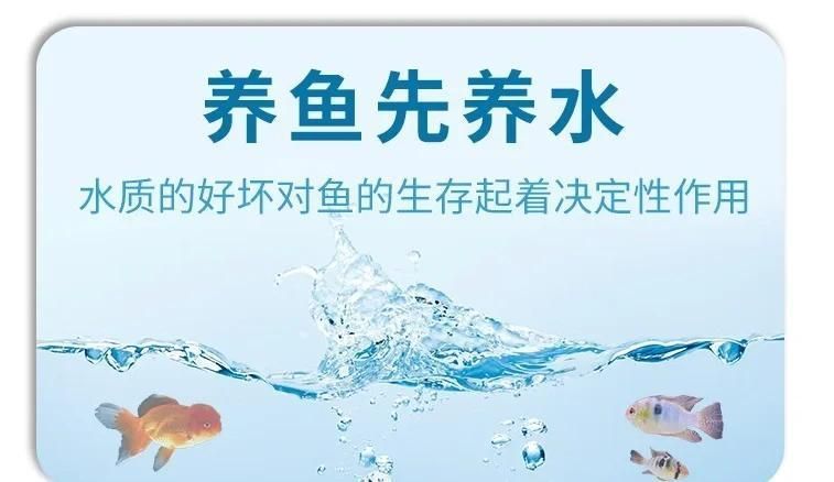 養紅龍需要哪些專業設備，養殖紅龍魚需要注意哪些問題