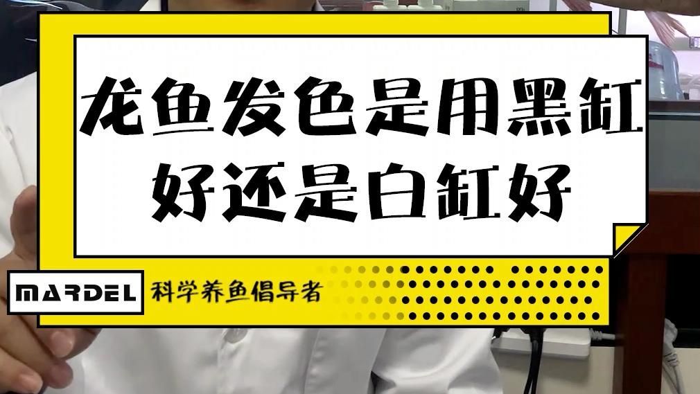 紅龍怎樣才發(fā)色好，紅龍魚發(fā)色影響因素
