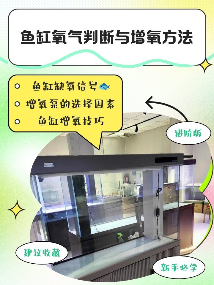 如何判斷魚是否真的缺氧，arxiv論文arxiv論文助手判斷魚是否真的缺氧