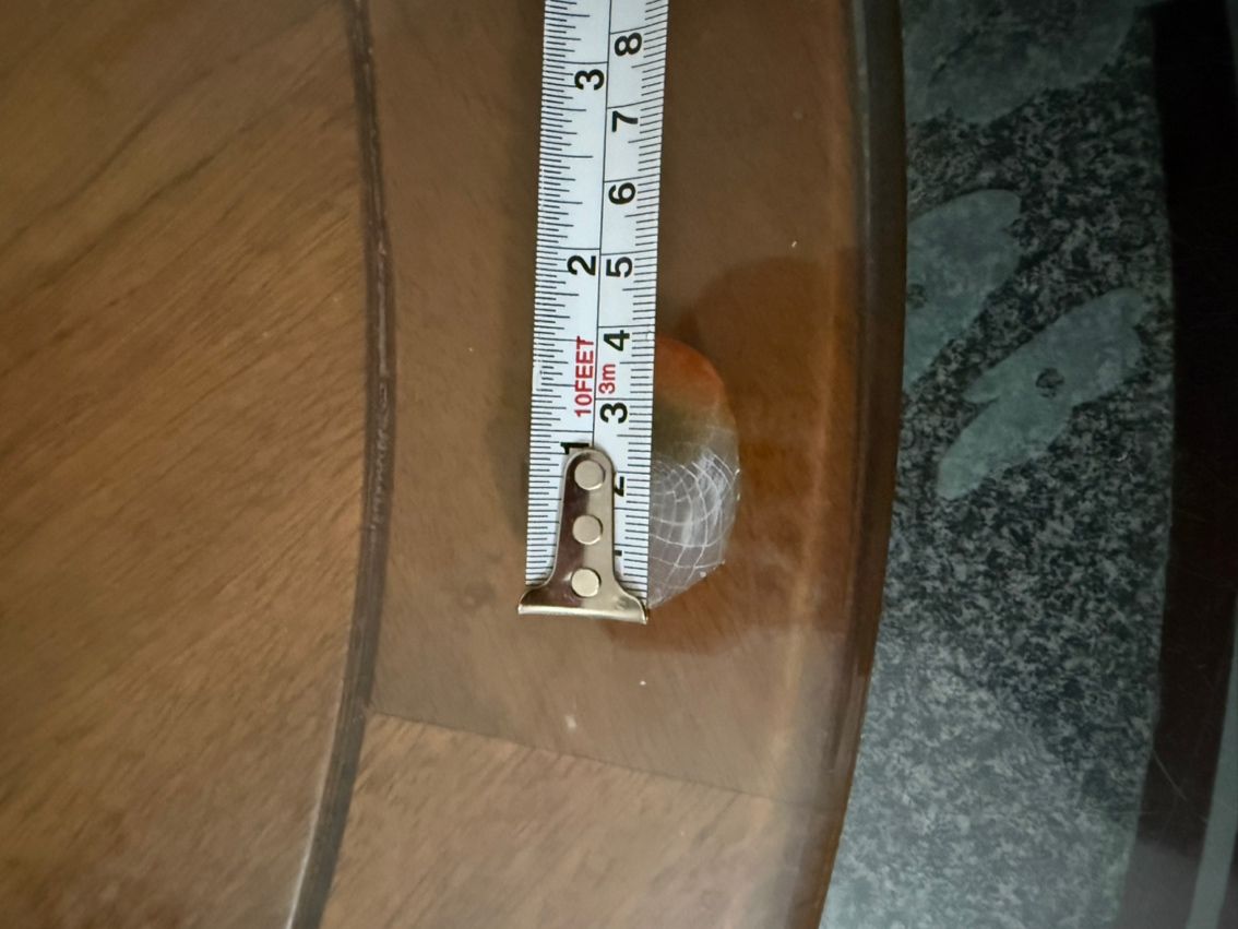 跳缸撞拉筋，背部掉了一片鱗，“跳缸撞拉筋，背部掉了一片鱗”，我為您生成