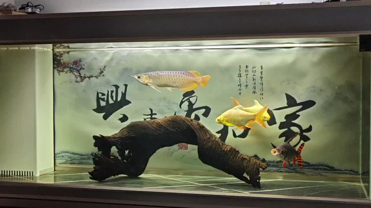 記錄一下，——未來城市設計新趨勢