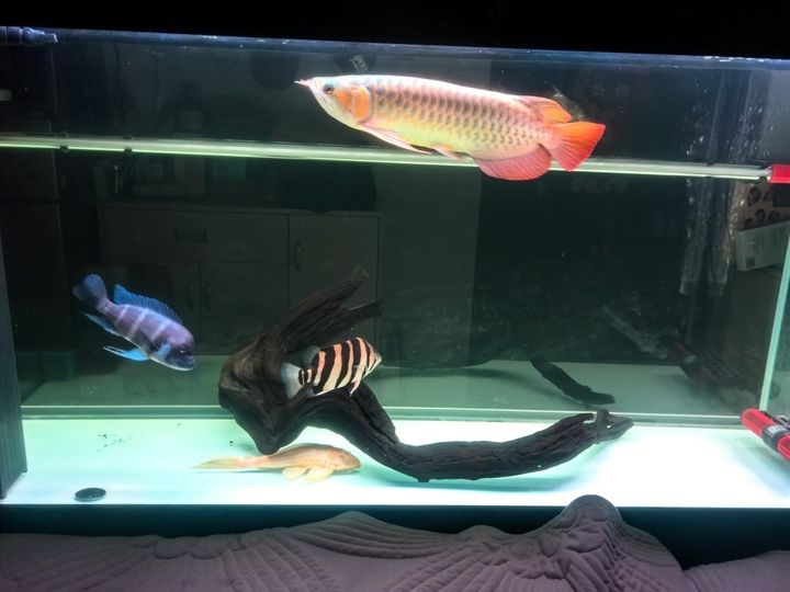 玩的就是興趣，個人興趣在日常生活和職業發展中的重要性