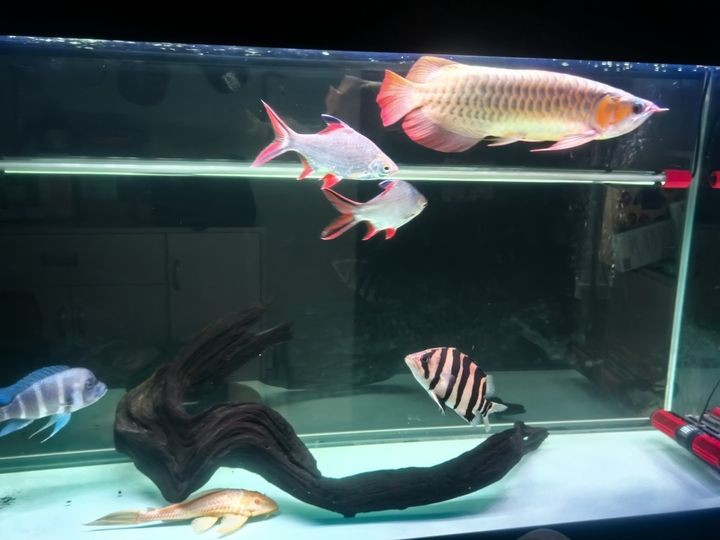 玩的就是興趣，個人興趣在日常生活和職業發展中的重要性