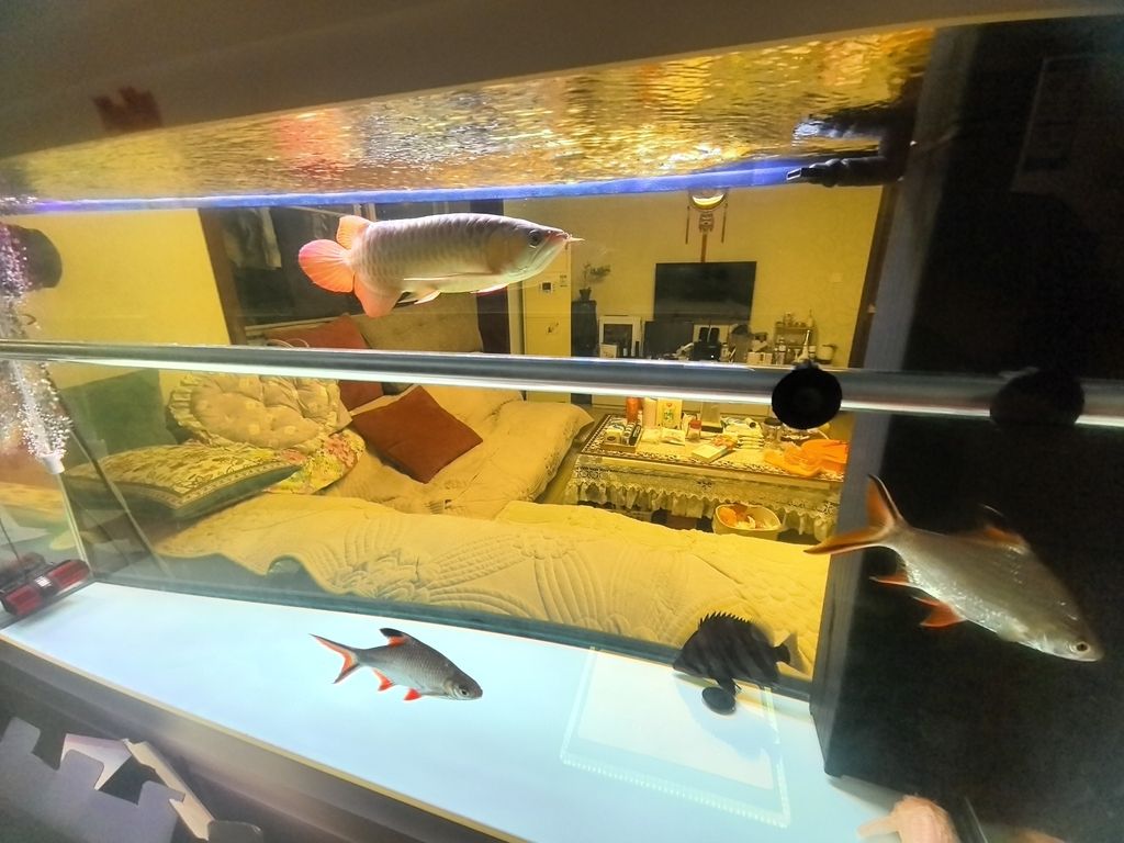 玩的就是興趣，個人興趣在日常生活和職業發展中的重要性