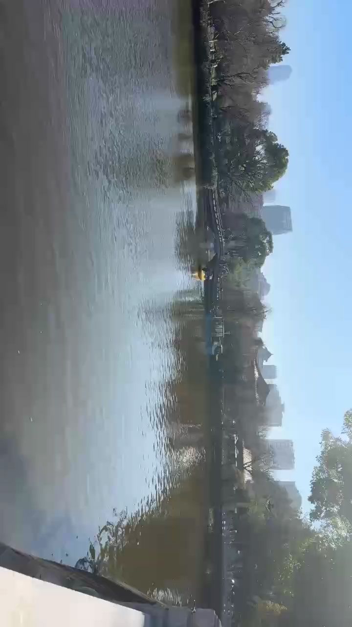 今日的海鷗去哪里了，今日的海鷗去哪里了，本文探討了近期海鷗的遷徙模式