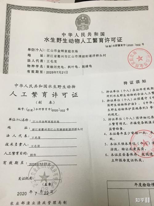 如何查詢龍魚世界繁殖有限公司的證書信息？，“龍魚世界繁殖有限公司”證書信息查詢全流程說明