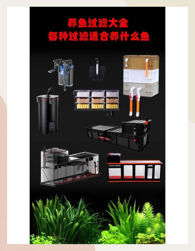 如何配置龍魚混養的過濾系統，————魚缸過濾系統的過濾系統