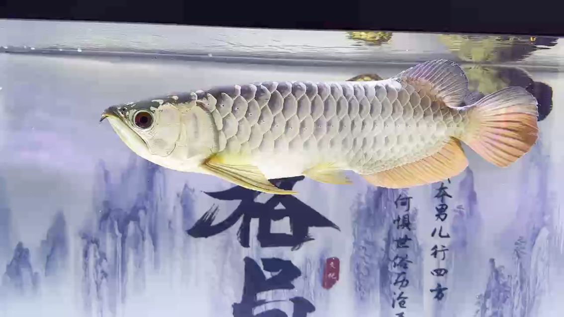 慢慢長吧，“慢慢長吧，本文探討了“慢慢長”這一概念并分析了其在不同領域中的應用