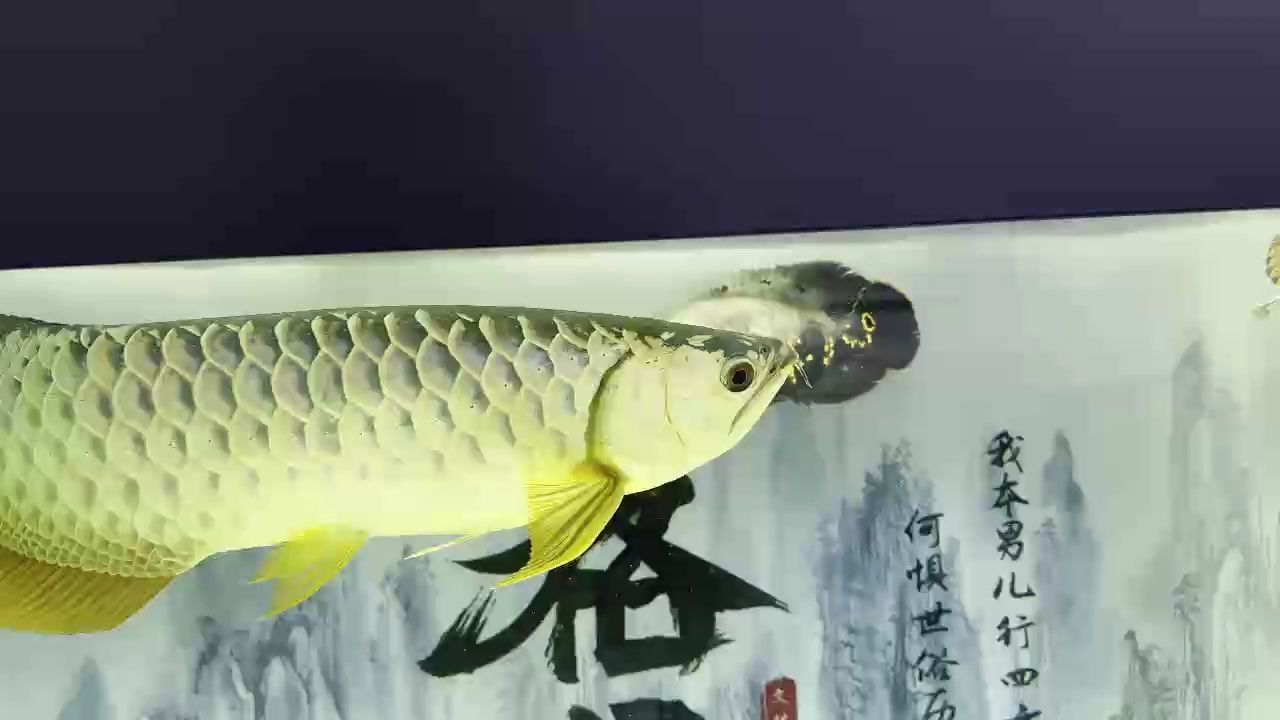 ，探索智能交通系統的設計與挑戰