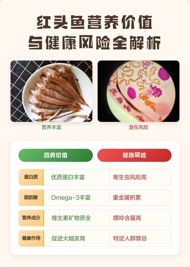 紅頭魚的營養(yǎng)價值有哪些，紅頭魚一天吃多少合適哪些人群不適合食用紅頭魚