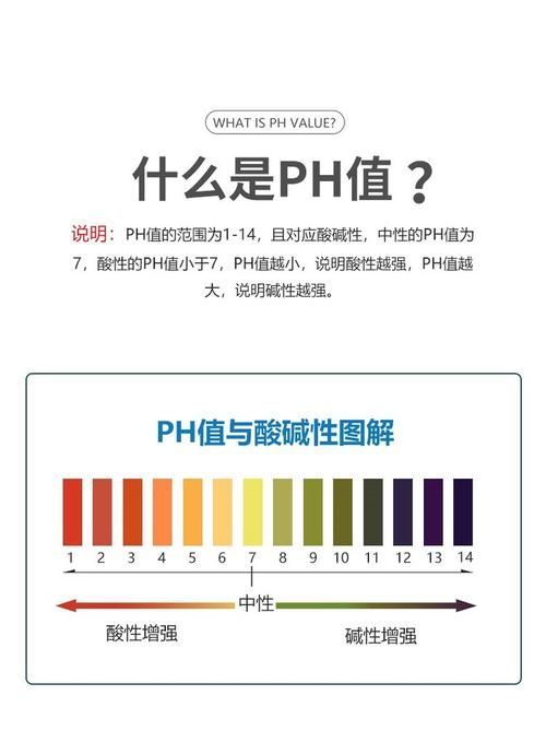 龍魚之巔論壇有哪些熱門話題？，魚之巔論壇（龍巔）熱門話題詳解