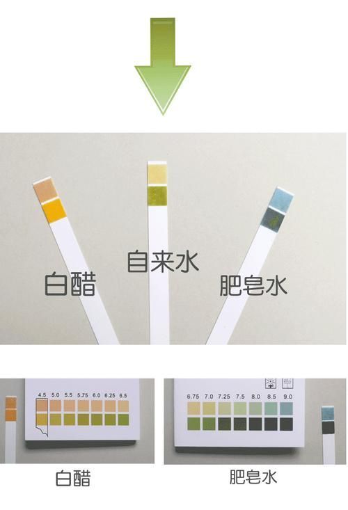 龍魚之巔論壇有哪些熱門話題？，魚之巔論壇（龍巔）熱門話題詳解