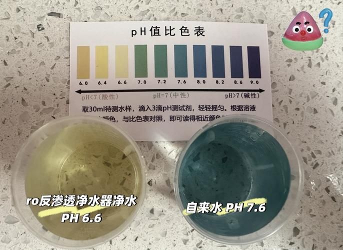 龍魚之巔論壇有哪些熱門話題？，魚之巔論壇（龍巔）熱門話題詳解