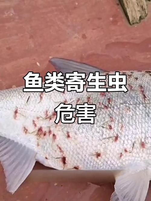 如何預防魚寄生蟲的爆發，arxiv論文助手arxiv論文助手arxiv論文助手