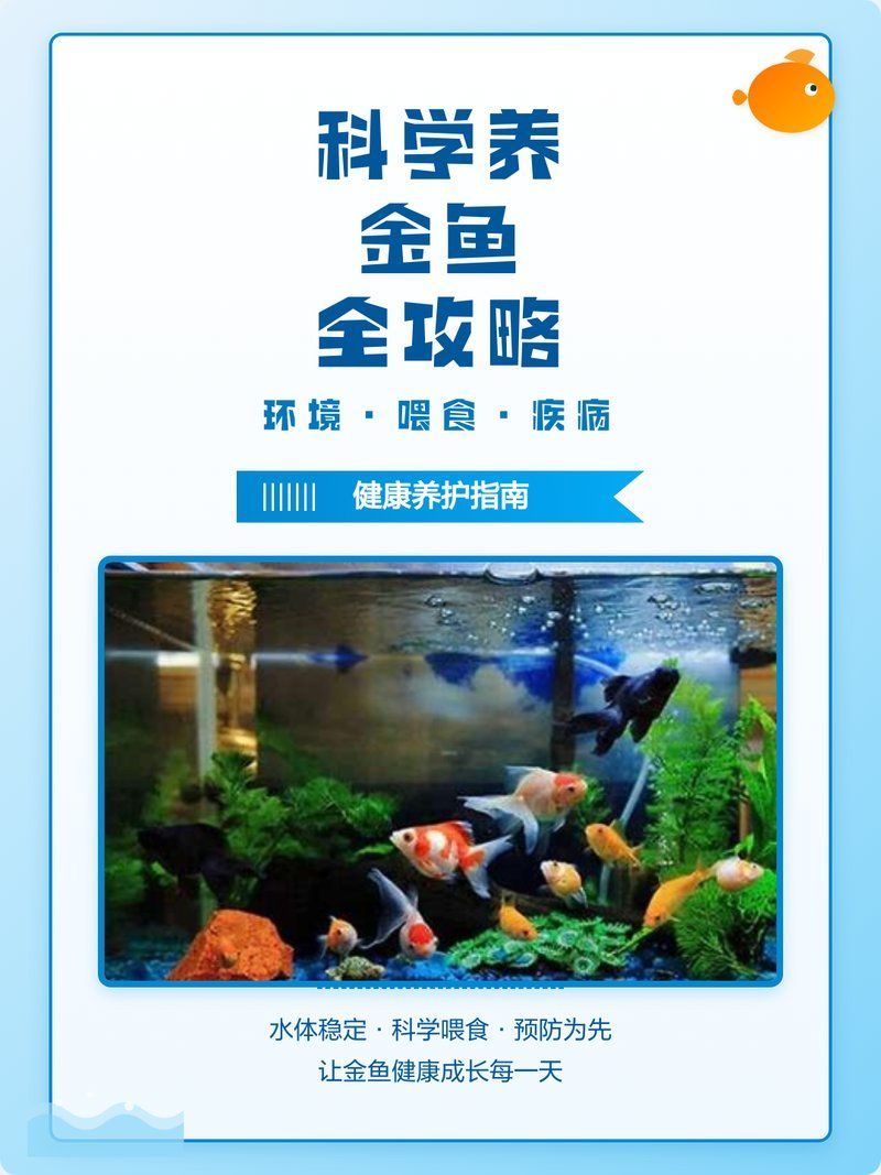 給我一些預(yù)防魚寄生蟲感染的小技巧，觀賞魚寄生蟲感染防治指南魚悅媽咪缸藝魚箱健康養(yǎng)金魚